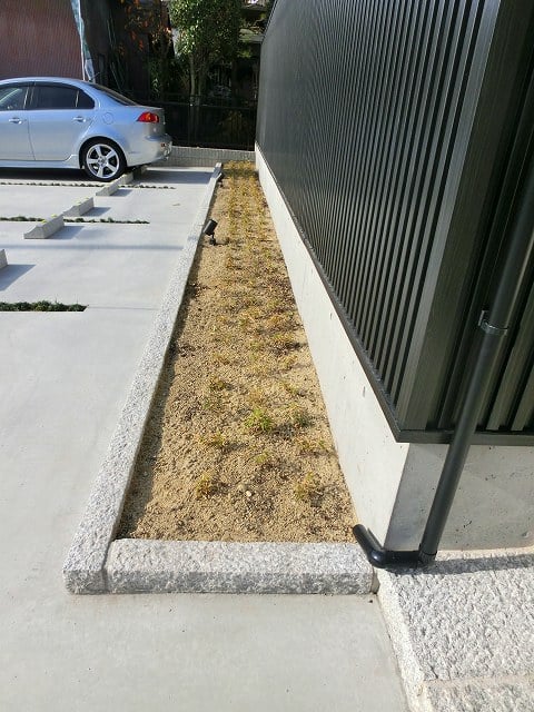 外部植栽　駐車場と門扉の境部分には”笹”を植えました。