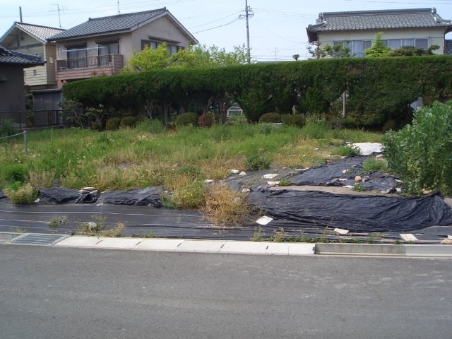 Before画像